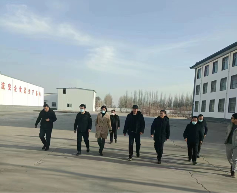 石嘴山市副市長、惠農(nóng)區(qū)委書記王宇翔蒞臨寧夏興康恒潤農(nóng)業(yè)科技發(fā)展有限公司調(diào)研