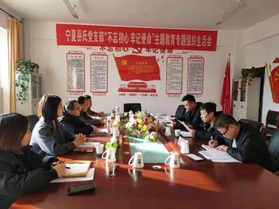 寧夏岳氏黨支部召開“不忘初心，牢記使命”主題教育專題組織生活會